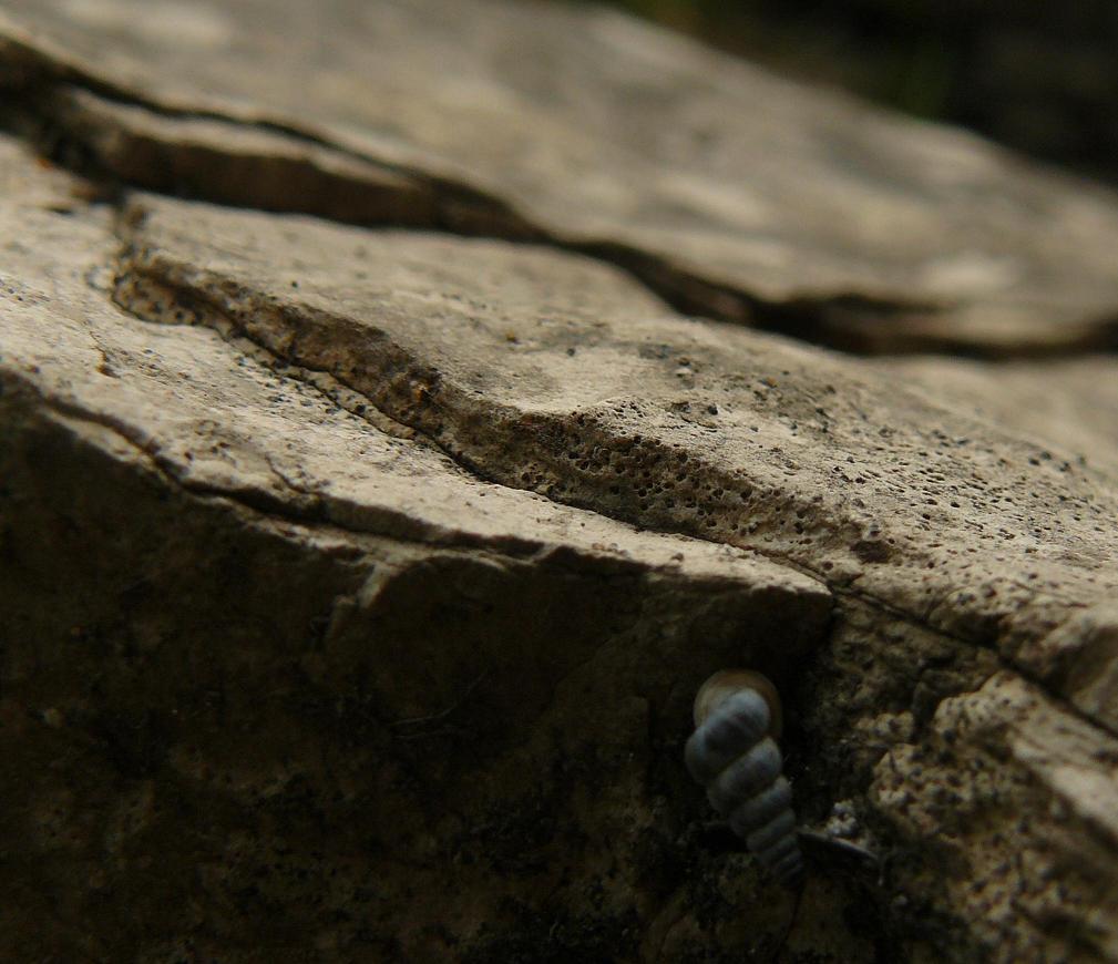 una identificazione